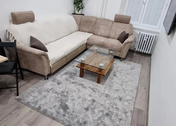 Apartment In Greater Downtown Area